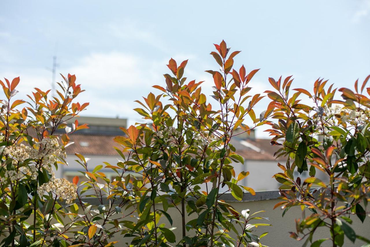 Studio R&K Apartment Pula Luaran gambar